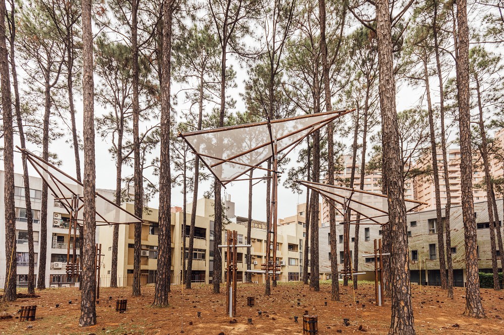 2024竹博覽會登場!漫遊新竹、嘉義、花蓮等五地展區探索竹文化奧秘