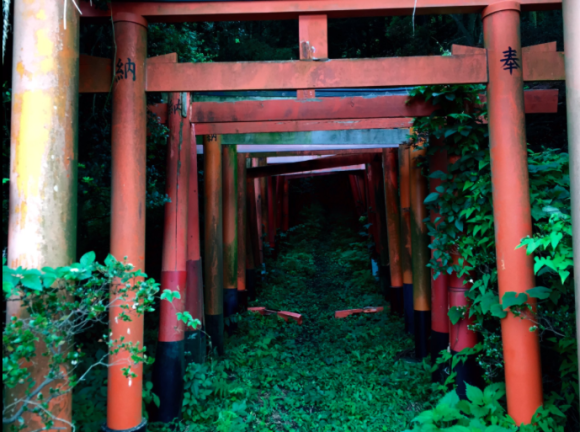 荒煙漫草中的信仰，遺世獨立的日本神社
