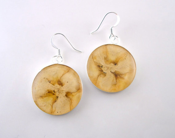 是真的！真水果製作而成的自然系飾品