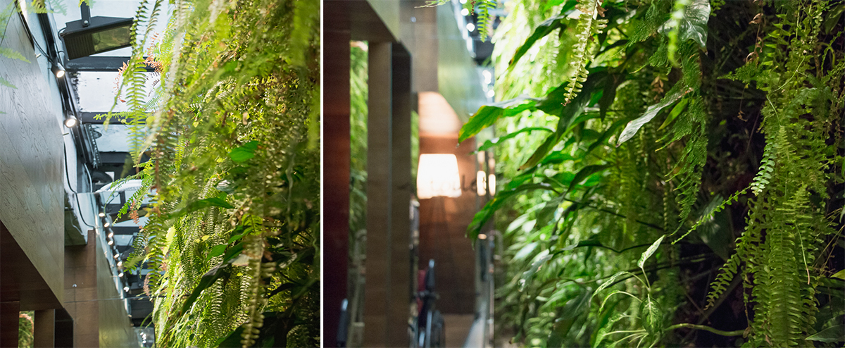 當綠意圍繞著生活呼吸!一隅有花創辦人 X 蔬食餐飲 Saladay 不謀而合的慢生活哲思