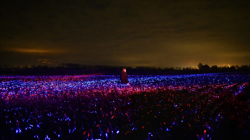 全球最夢幻農田「GROW」!荷蘭藝術家Daan Roosegaarde讓2公頃韭蔥田變身沉浸空間