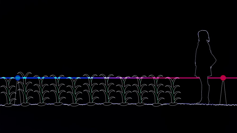 全球最夢幻農田「GROW」!荷蘭藝術家Daan Roosegaarde讓2公頃韭蔥田變身沉浸空間