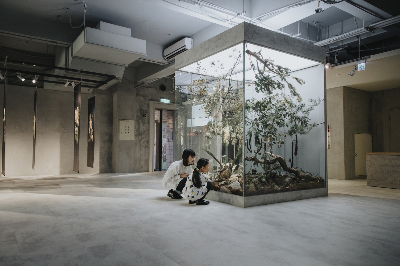 台中谷關「入關博物館」遊客中心新身！集結自然插畫、採集圖書館等4大亮點