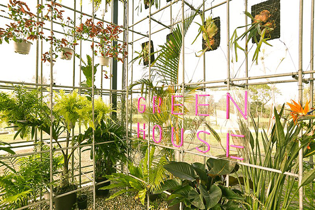 建築系溫室「蕨知院」＋藝術「蕈光戲台」＝鼓勵好室 Green House！2018 桃園農業博覽會文創味顛覆以往！
