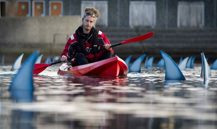 一個人在湖中划船太孤單嗎？鯊魚來陪你如何！