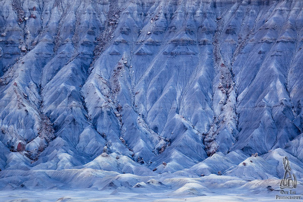 不只美麗，更有感動～絕地逢生的荒漠花海攝影集