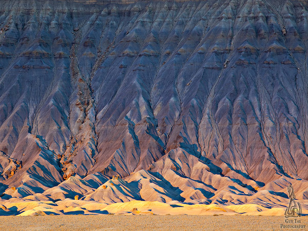 不只美麗，更有感動～絕地逢生的荒漠花海攝影集