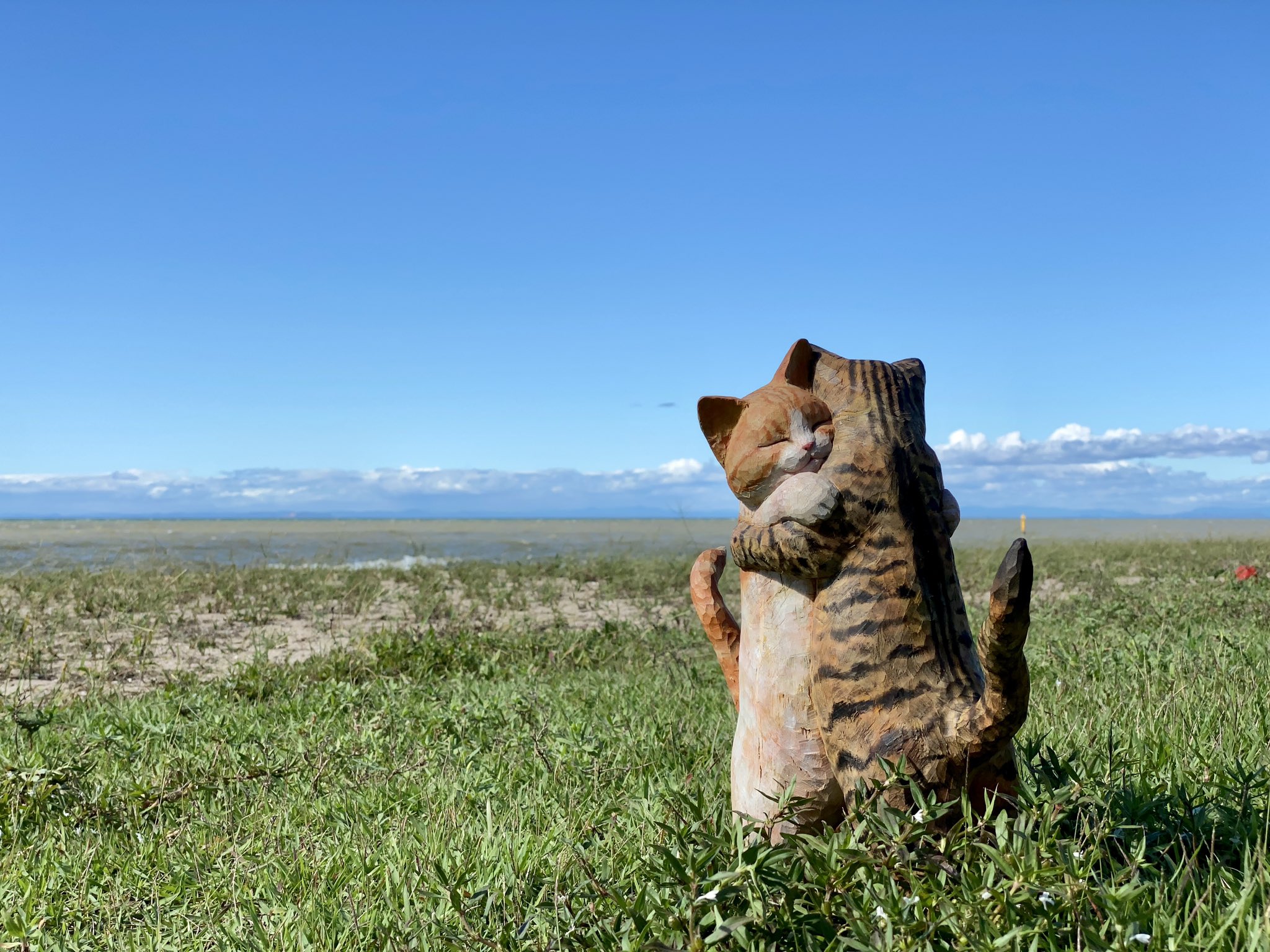 完美雕出貓咪可愛身影!日本藝術家花房櫻的療癒貓咪木雕創作