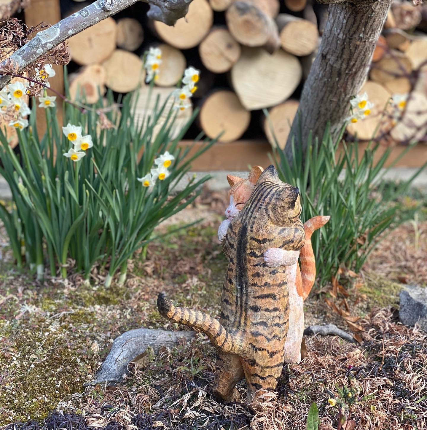 完美雕出貓咪可愛身影!日本藝術家花房櫻的療癒貓咪木雕創作