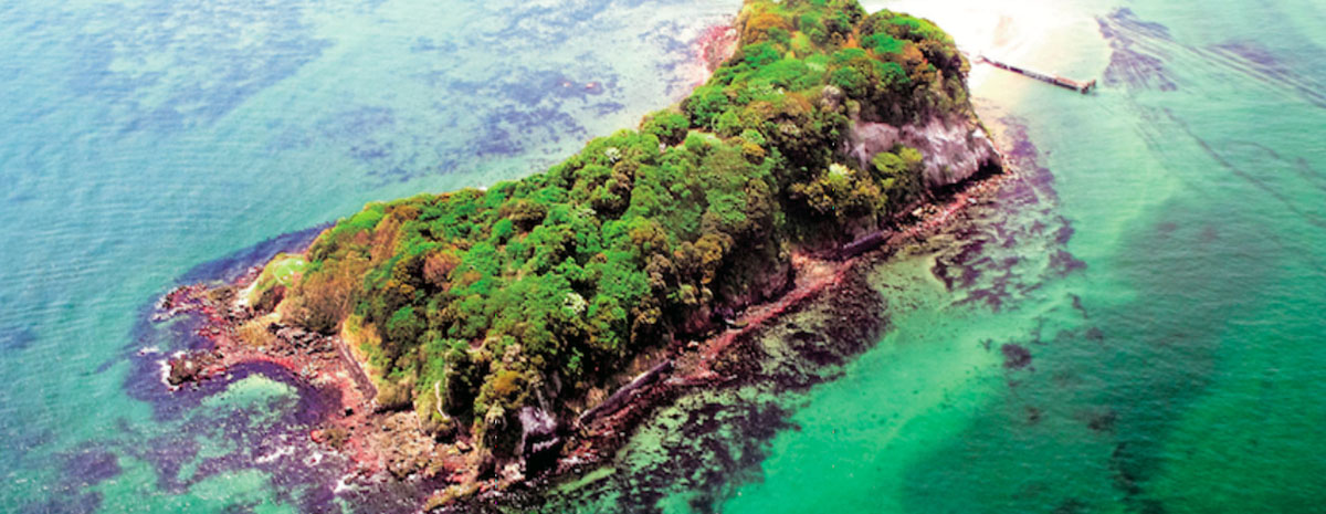 日本無人島「猿島」變身深夜藝術村!東京灣荒廢軍事基地「暗闇の美術島」大型裝置藝術入主