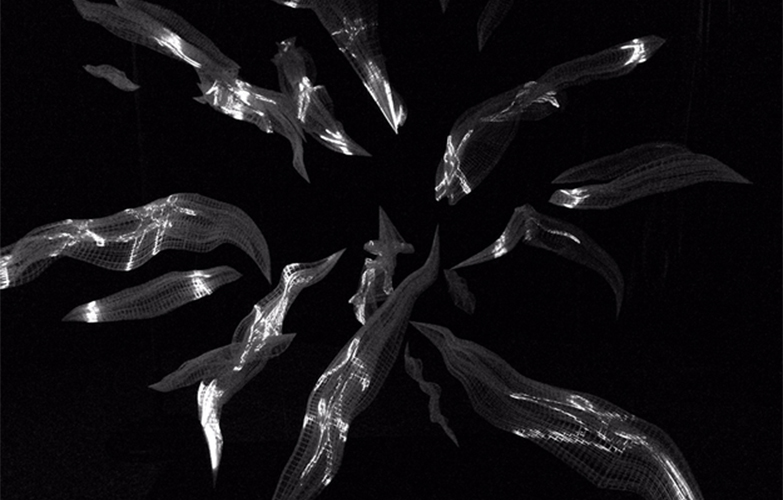 日本無人島「猿島」變身深夜藝術村!東京灣荒廢軍事基地「暗闇の美術島」大型裝置藝術入主