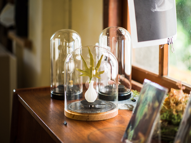 走進柒木設計的秘密花園，華山快閃店邀你探索美好生活