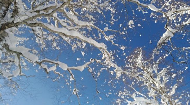 滑雪中毒是什麼感覺？滑雪入門者不得不知的幾件事！