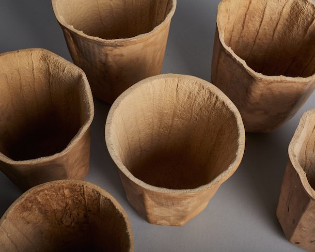 種出來的杯子？能 100% 生物分解的純天然「葫蘆杯 HyO-Cup」