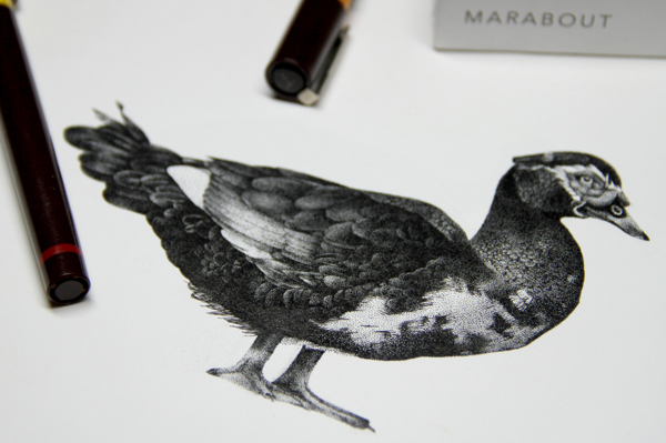 令人驚奇的細緻針筆畫