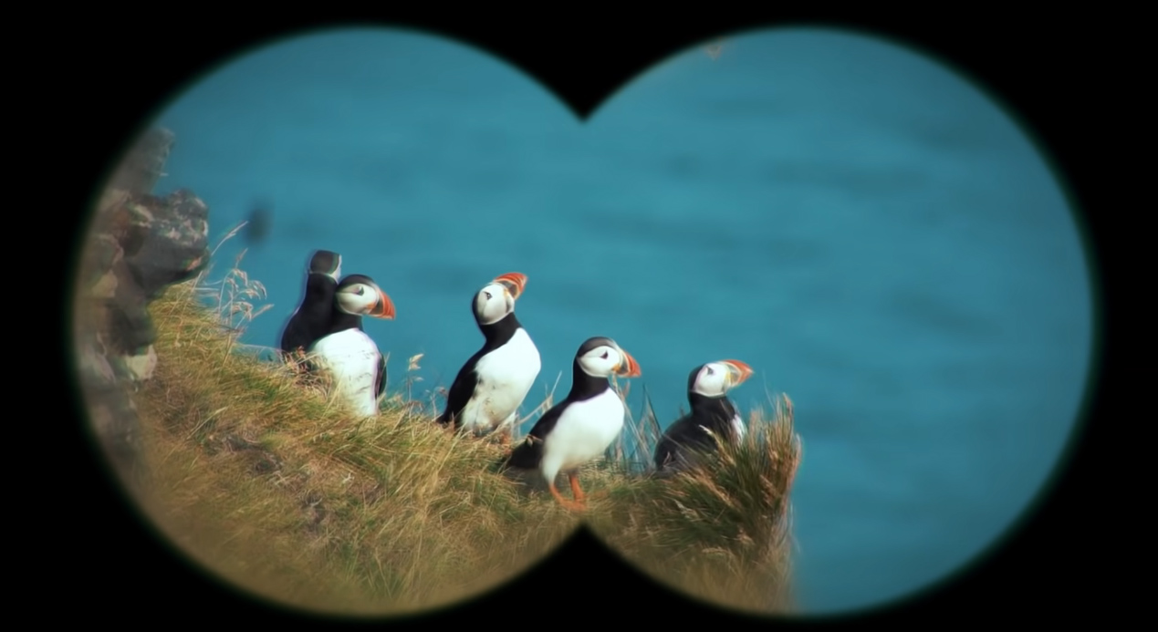 冰島也有元宇宙！冰島旅遊局翻玩Meta推創意觀光廣告「冰島宇宙Icelandverse」