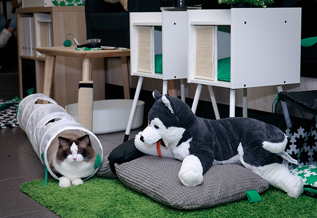 好玩又實用！IKEA LURVIG 寵物用品系列創造毛小孩與主人的幸福迴圈！