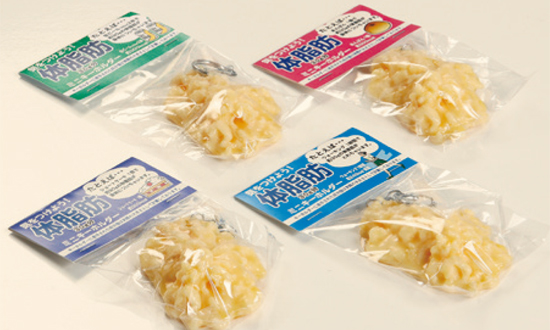 肥胖君是你！體脂肪模型讓你面對藏在體內的小惡魔