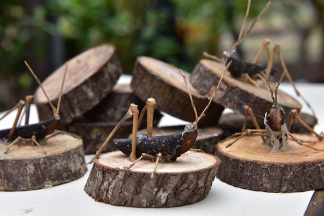 【玩體驗】宜蘭枕山換宿空檔小旅行分秒不浪費！