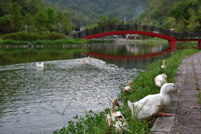 【玩體驗】宜蘭枕山換宿空檔小旅行分秒不浪費！