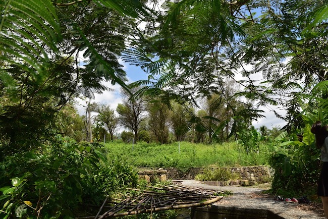 【玩體驗】宜蘭枕山換宿空檔小旅行分秒不浪費！
