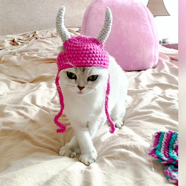 許牠一個看得見的希望,2017台北世界動物日