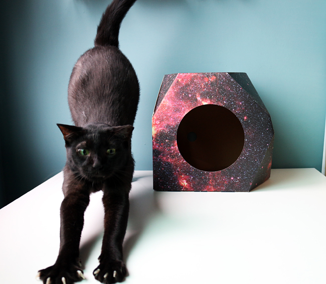 【生活玩物】勾起你家貓咪的紙箱魂！CHAOS 夜光宇宙紙貓屋
