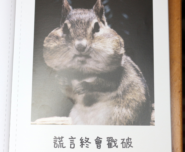 【閱讀書摘】和動物學習人生的道理，《人生就是要開心》
