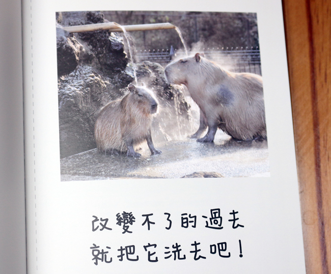 【閱讀書摘】和動物學習人生的道理，《人生就是要開心》