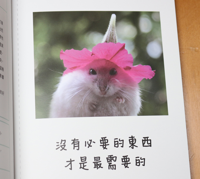 【閱讀書摘】和動物學習人生的道理，《人生就是要開心》