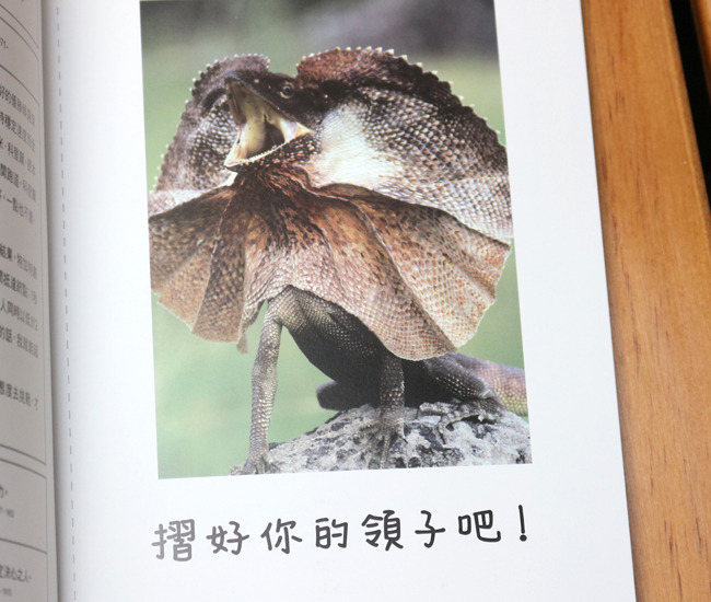 【閱讀書摘】和動物學習人生的道理，《人生就是要開心》