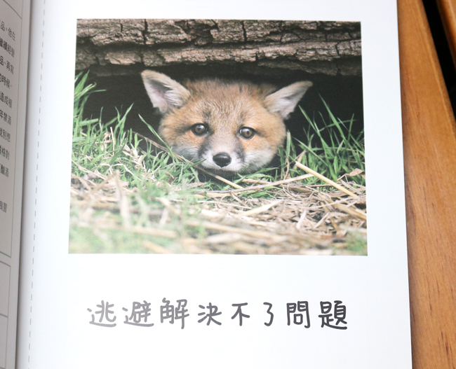 【閱讀書摘】和動物學習人生的道理，《人生就是要開心》