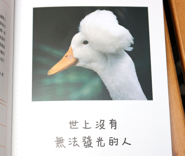 【閱讀書摘】和動物學習人生的道理，《人生就是要開心》