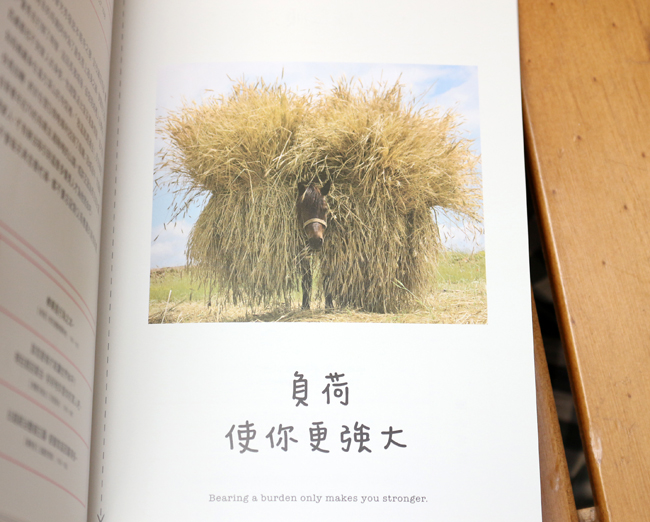 【閱讀書摘】和動物學習人生的道理，《人生就是要開心》