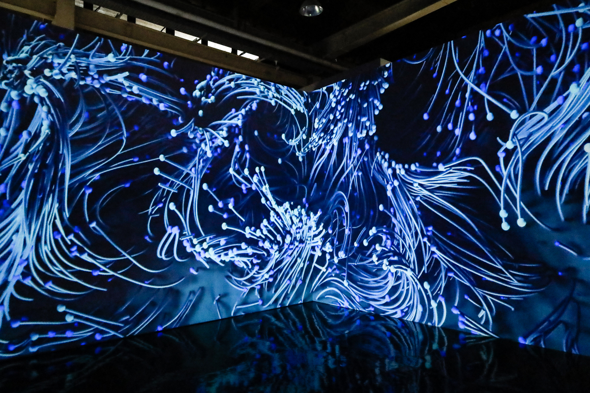 土耳其AI數據藝術展《Hello Ouchhh》台北登場！集結AI梵谷、台灣海洋數據8組沉浸創作