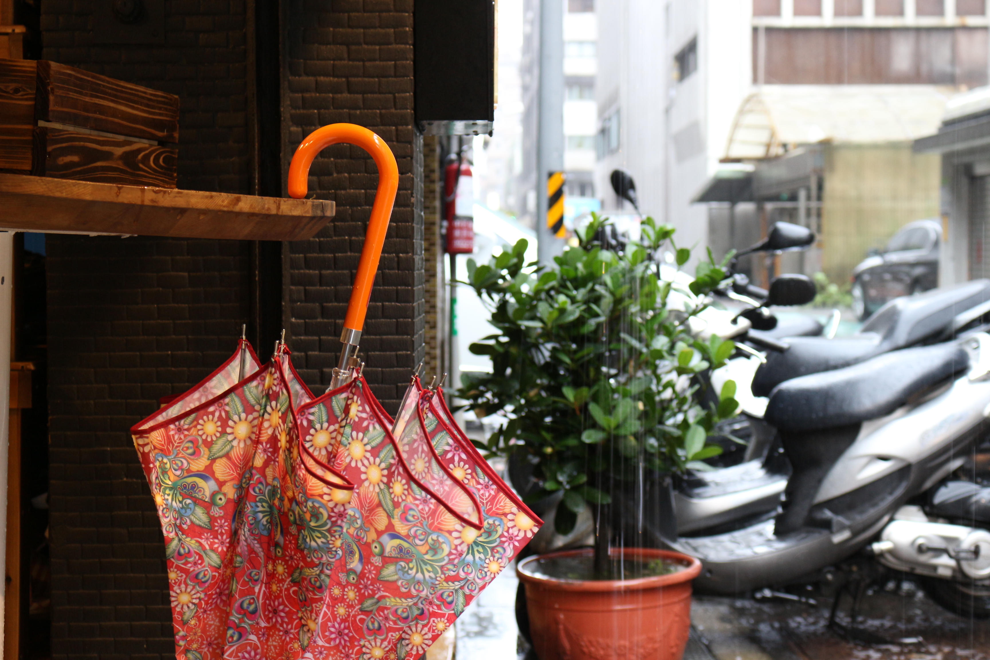 【生活玩物】豔陽下綻放西班牙的熱情花朵，Catalina Estrada for Ezpeleta 傘