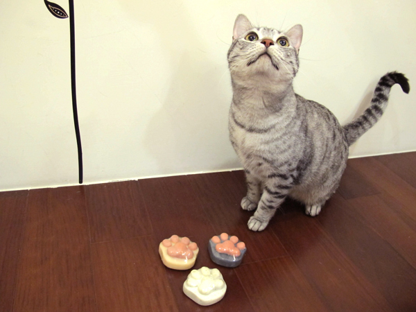 【生活玩物】人用好貓咪用更好！台灣製造貓肉球手工皂