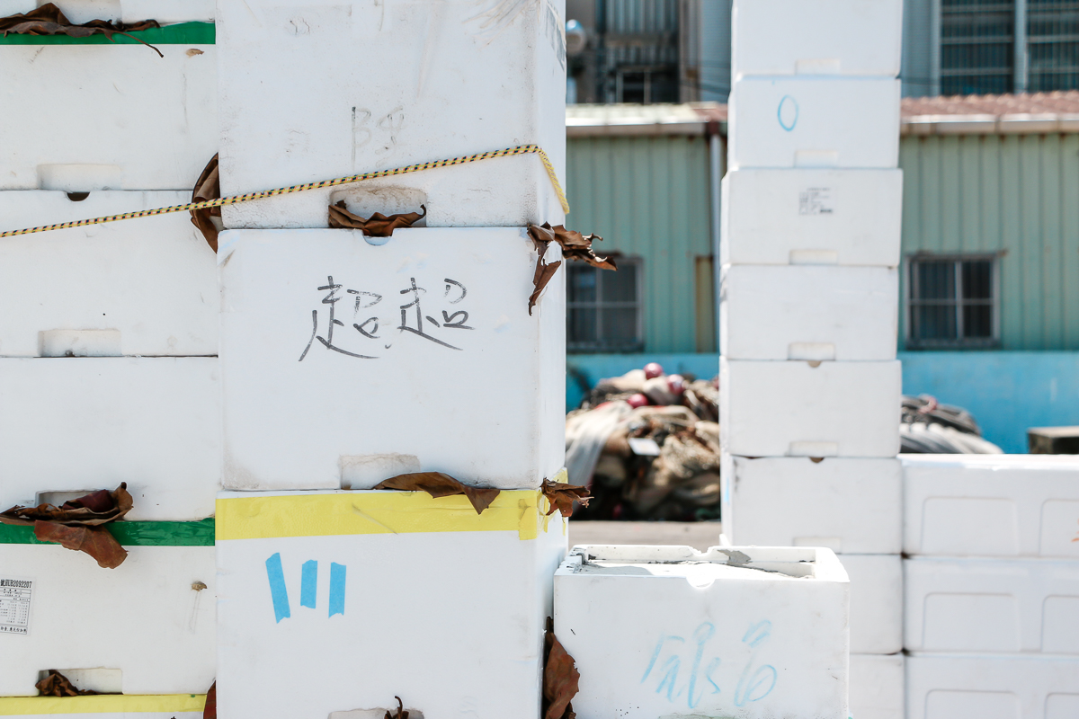 阿根納的光雕船、愛馬仕設計師夢幻船艙酒吧！《2020 基隆潮藝術：海的一日》藝術季讓海上美術館開張