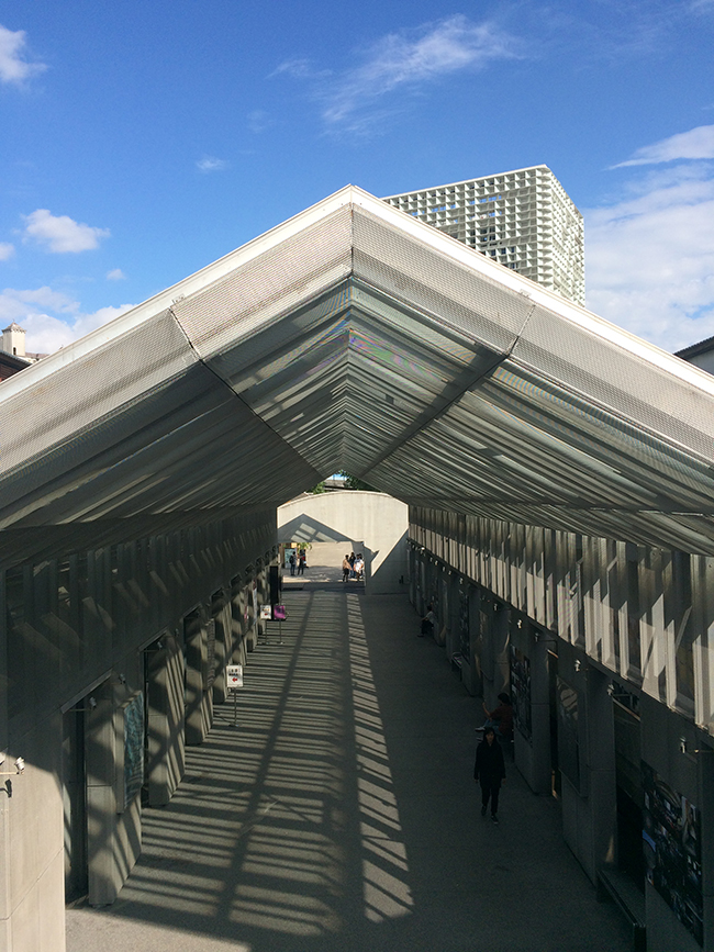 【華山說書人】光點華山，嶄露電影鋒芒的前哨站：專訪「台灣電影文化協會」執行長陳伯任