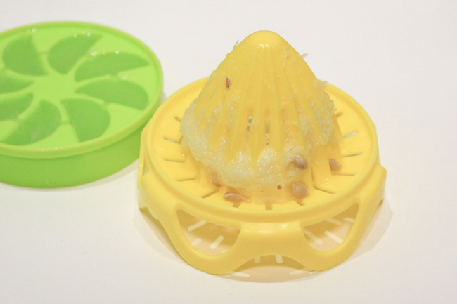 大人物實驗室：健康 DIY 的 Full Circle 檸檬鮮萃冰盒