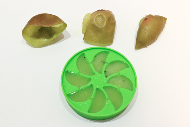 大人物實驗室：健康 DIY 的 Full Circle 檸檬鮮萃冰盒