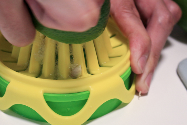 大人物實驗室：健康 DIY 的 Full Circle 檸檬鮮萃冰盒