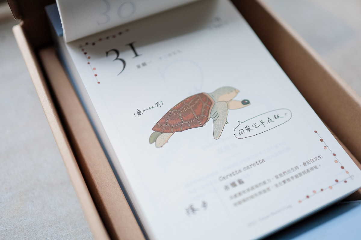 2022海洋生物日曆「漫遊者號」亮點!365天手繪插畫、療癒故事化身海洋說書人