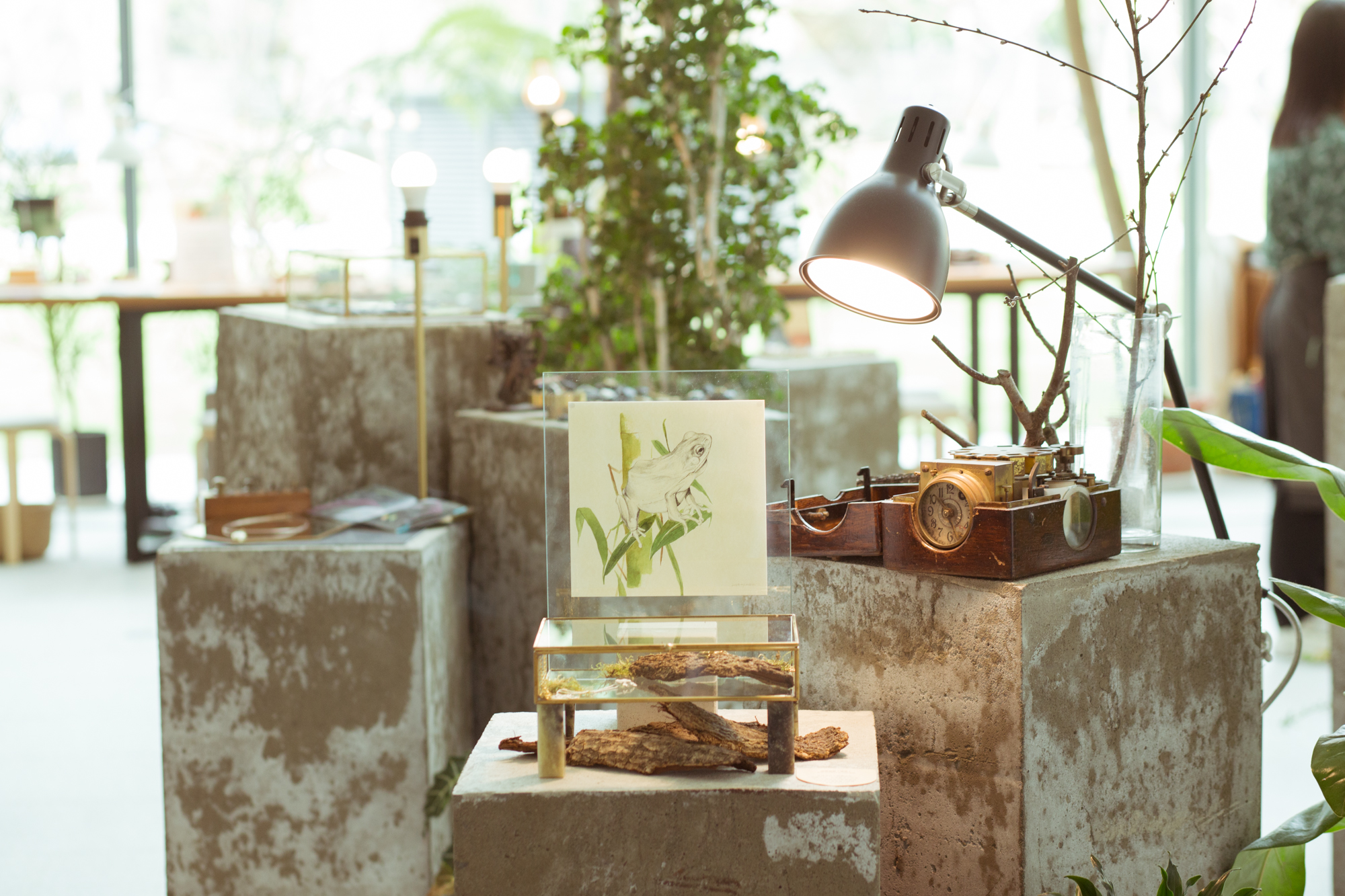 台灣特有生物於台中歌劇院出沒中！金工品牌以覺學聯手插畫家推出《隱身在島上》台灣特有生物插畫展