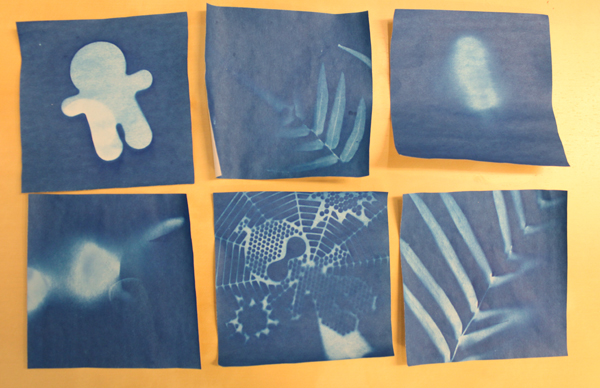 Sun printing 日光顯影紙，收集陽光下的陰影