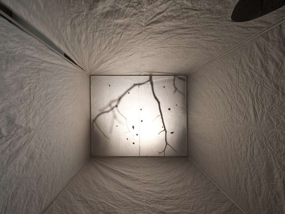 台北特色咖啡廳「IN LAB」！巷弄裡的實驗性光盒咖啡空間