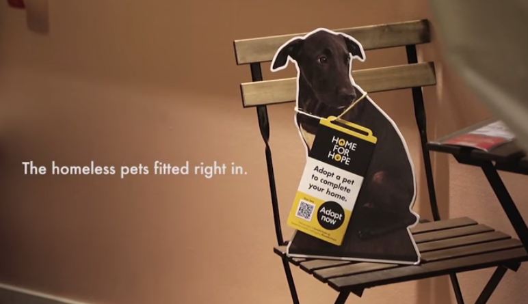 毛寶貝讓家更完整，IKEA 的流浪動物領養計畫 