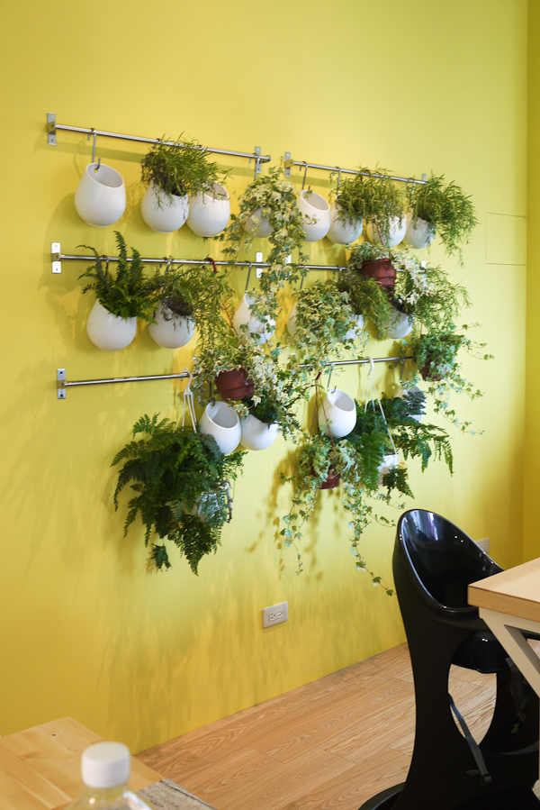 有夢最美，希望相隨，《IKEA 的家》歡迎來聚聚！