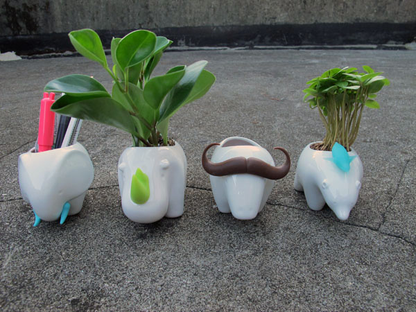 【生活玩物】增添綠意的圓滾滾小動物：Kedo 愛動物花器