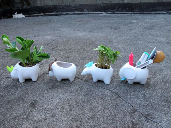 【生活玩物】增添綠意的圓滾滾小動物：Kedo 愛動物花器